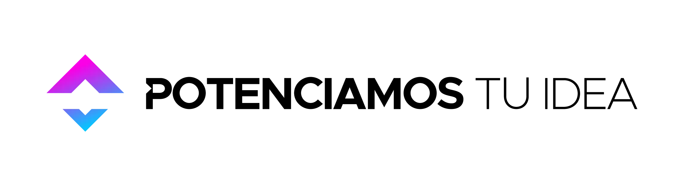 Logo PTI Consulting Partner