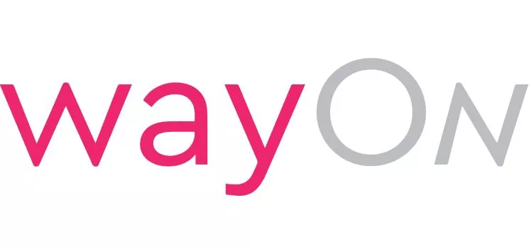 Logo Consultora WayOn